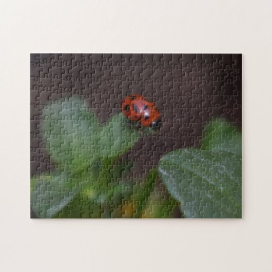 Ladybug op Flowers Legpuzzel (Horizontaal)