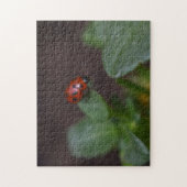 Ladybug op Flowers Legpuzzel (Verticaal)