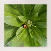 Ladybug op Flowers Legpuzzel (Horizontaal)