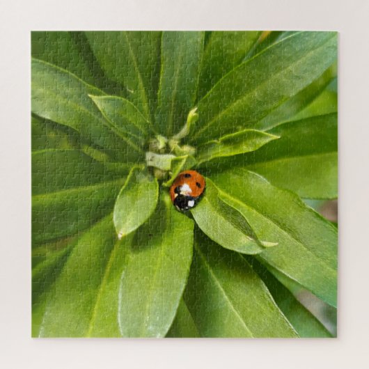 Ladybug op Flowers Legpuzzel (Verticaal)