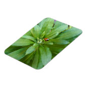 Ladybug op Flowers Magneet (Linkerzijde)