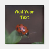 Ladybug op Flowers Magneet (Voorkant)