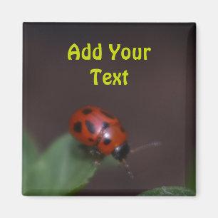 Ladybug op Flowers Magneet