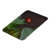Ladybug op Flowers Magneet (Linkerzijde)