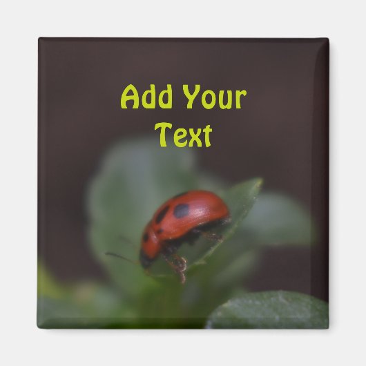 Ladybug op Flowers Magneet (Voorkant)