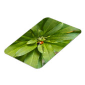 Ladybug op Flowers Magneet (Linkerzijde)