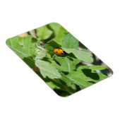 Ladybug op Flowers Magneet (Rechterzijde)