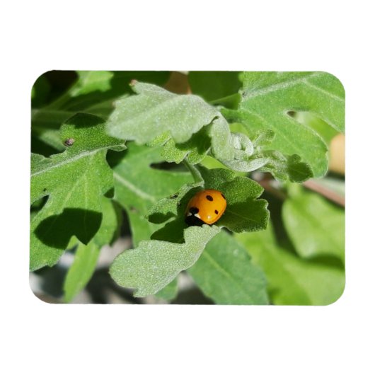 Ladybug op Flowers Magneet (Horizontaal)
