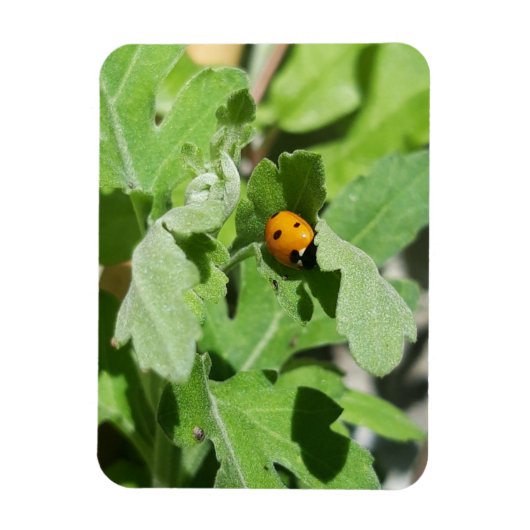 Ladybug op Flowers Magneet (Verticaal)