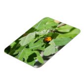 Ladybug op Flowers Magneet (Linkerzijde)