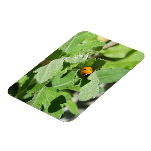 Ladybug op Flowers Magneet (Linkerzijde)