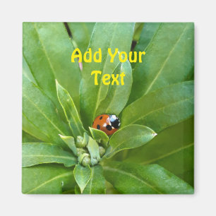 Ladybug op Flowers Magneet