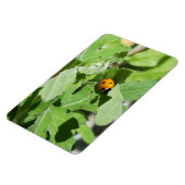 Ladybug op Flowers Magneet (Linkerzijde)