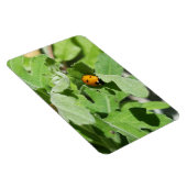 Ladybug op Flowers Magneet (Rechterzijde)