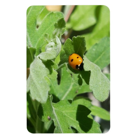 Ladybug op Flowers Magneet (Verticaal)