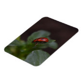 Ladybug op Flowers Magneet (Linkerzijde)