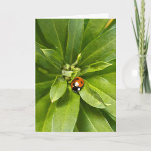 Ladybug op Flowers Notitiekaartje