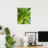 Ladybug op Flowers Poster (Thuiskantoor)