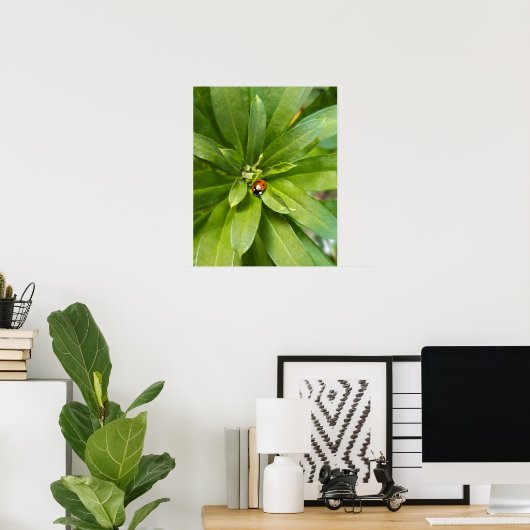 Ladybug op Flowers Poster (Thuiskantoor)