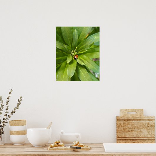 Ladybug op Flowers Poster (Keuken)