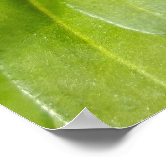 Ladybug op Flowers Poster (Hoek)