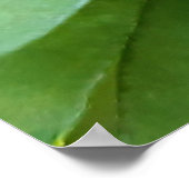 Ladybug op Flowers Poster (Hoek)