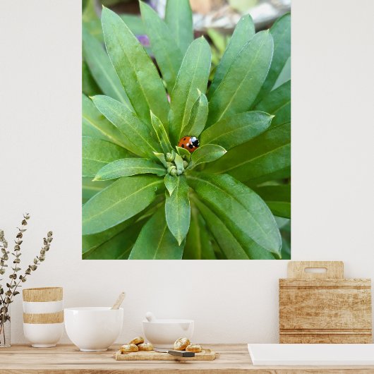 Ladybug op Flowers Poster (Keuken)