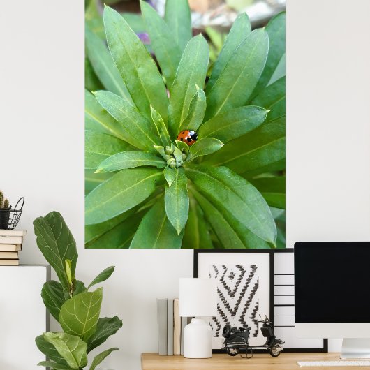 Ladybug op Flowers Poster (Thuiskantoor)