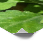 Ladybug op Flowers Poster (Hoek)