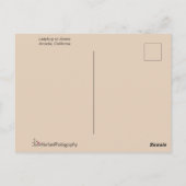 Ladybug op gedroogd zweefvliegtuig briefkaart (Achterkant)