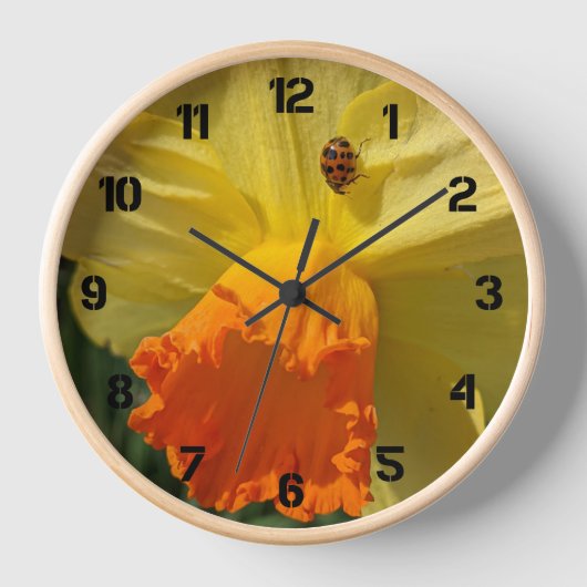 Ladybug op geeldilatine (Voorkant)