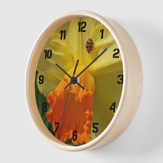 Ladybug op geeldilatine (Hoek)