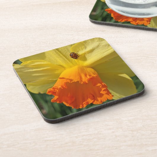 Ladybug op geeldilatine bier onderzetter (Linkerzijde)