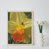 Ladybug op geeldilatine