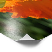 Ladybug op geeldilatine foto afdruk (Hoek)