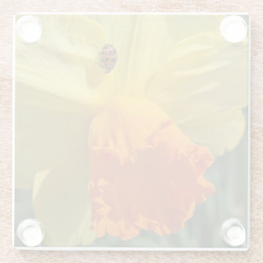 Ladybug op geeldilatine glazen onderzetter (Achterkant)