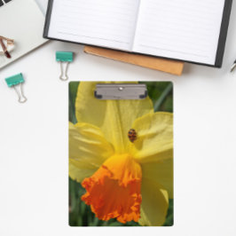 Ladybug op geeldilatine klembord