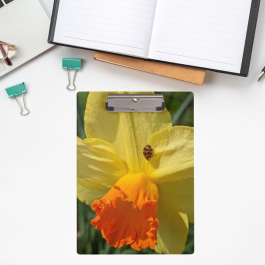 Ladybug op geeldilatine klembord