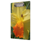 Ladybug op geeldilatine klembord (Links)