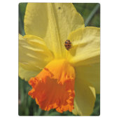 Ladybug op geeldilatine klembord (Achterkant)