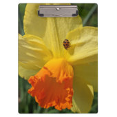 Ladybug op geeldilatine klembord (Voorkant)