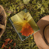 Ladybug op geeldilatine notitieboek