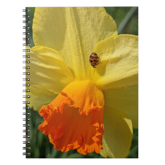 Ladybug op geeldilatine notitieboek (Voorkant)