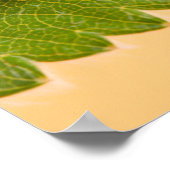 Ladybug op groen lef poster (Hoek)