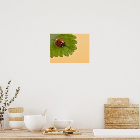Ladybug op groen lef poster (Keuken)