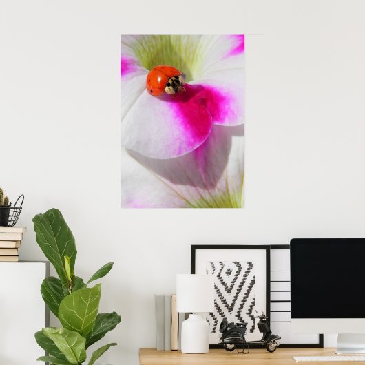 Ladybug op het Poster van de petunia (Thuiskantoor)