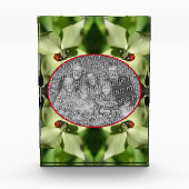 Ladybug op hondenbloem Voeg je eigen toe Fotoblokken (Voorkant)