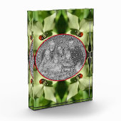 Ladybug op hondenbloem Voeg je eigen toe Fotoblokken (Links)