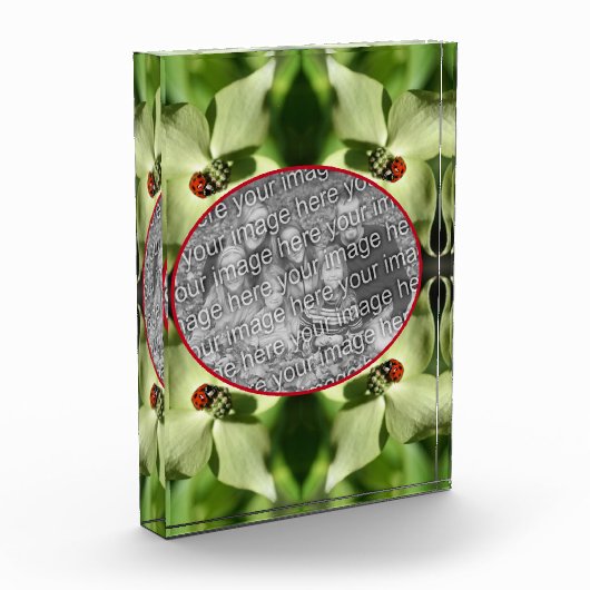 Ladybug op hondenbloem Voeg je eigen toe Fotoblokken (Links)