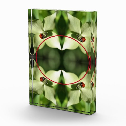 Ladybug op hondenbloem Voeg je eigen toe Fotoblokken (Rechts)